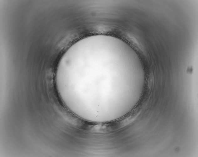 X0000093380366200711011254