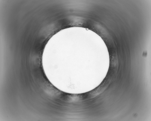 X0000093380370200711011254