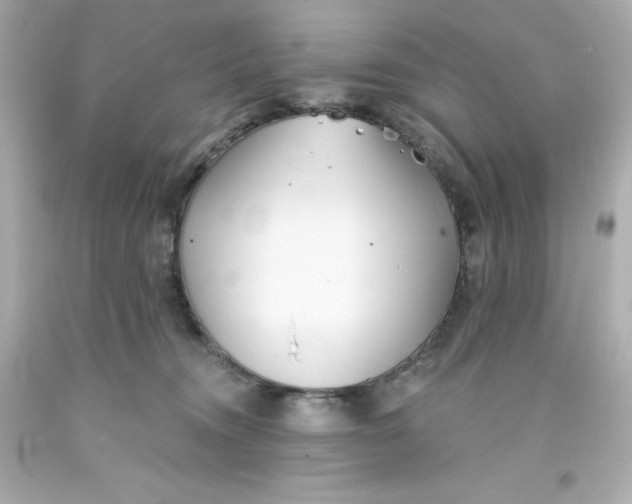 X0000093380372200711011254