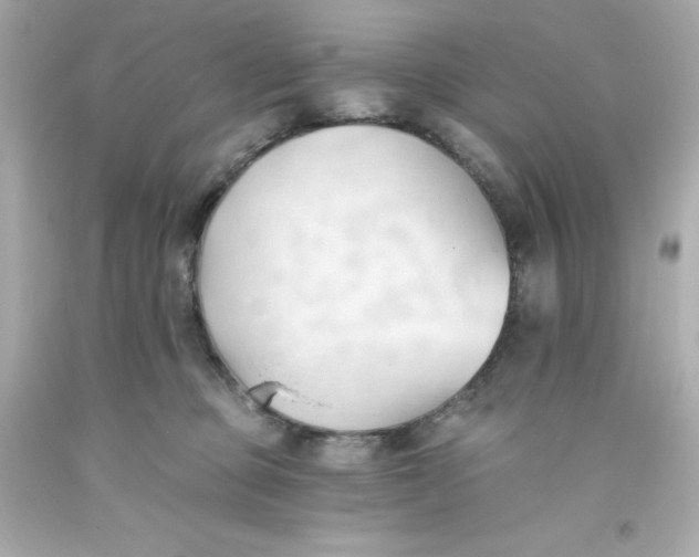 X0000093380373200711011254