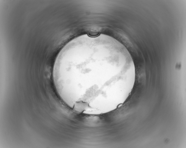 X0000093380374200711011254