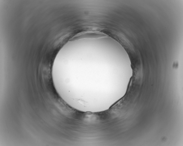 X0000093380376200711011254