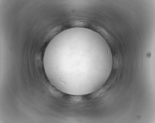 X0000093380377200711011254