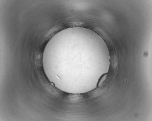 X0000093380378200711011254