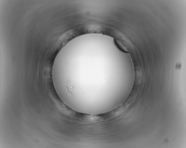 X0000093380379200711011254