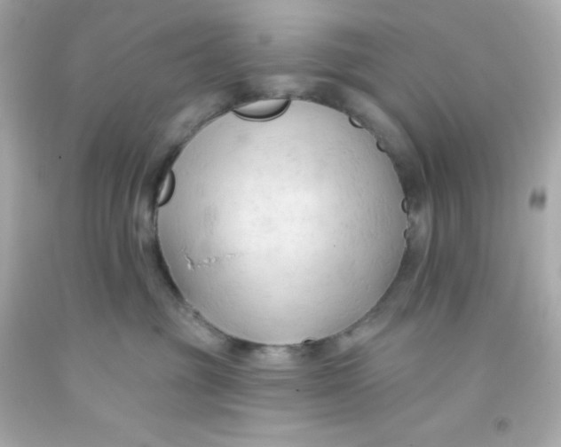 X0000093380381200711011254