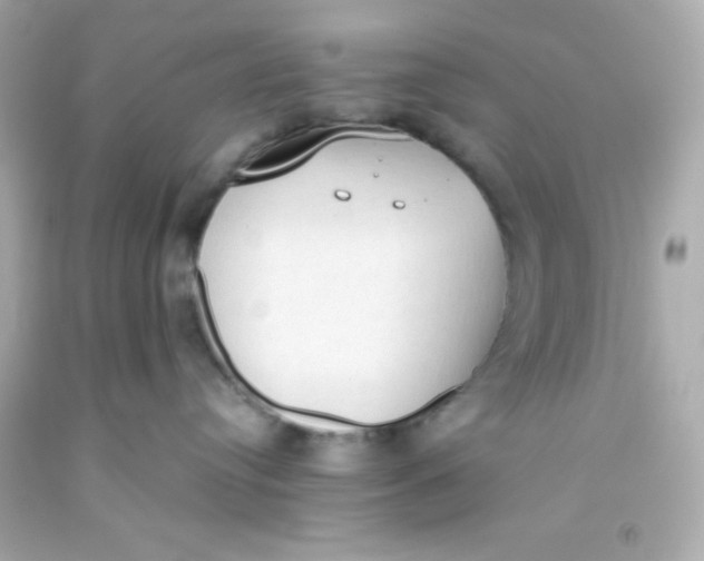 X0000093380384200711011254