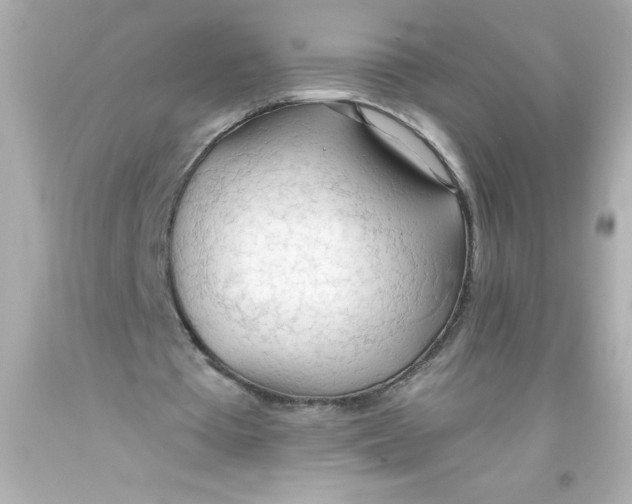 X0000093380385200711011254