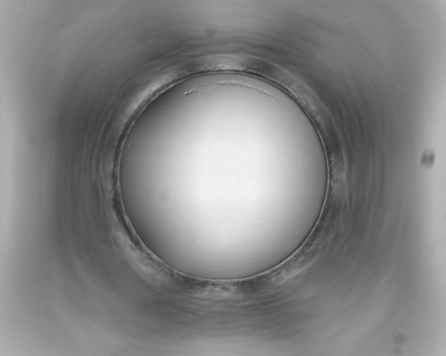 X0000093380386200711011254