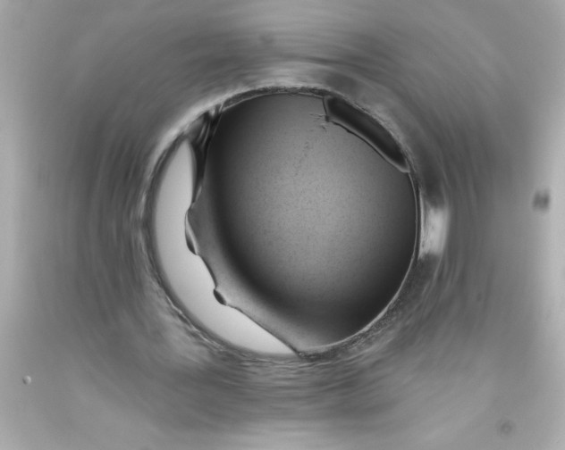 X0000093380387200711011254