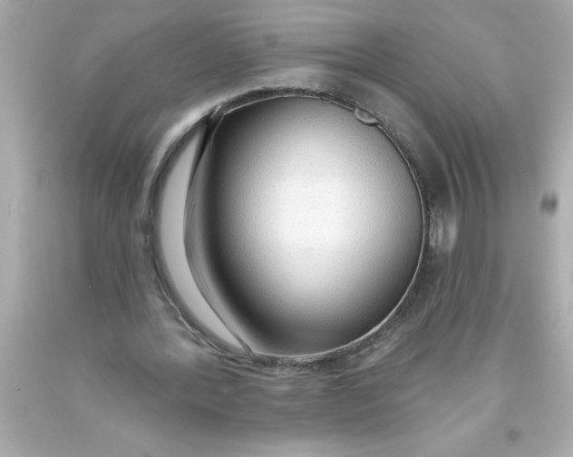 X0000093380388200711011254