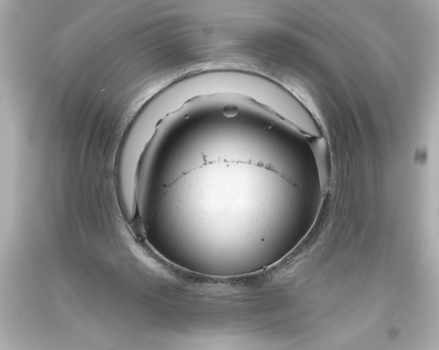 X0000093380389200711011254