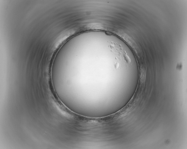 X0000093380390200711011254