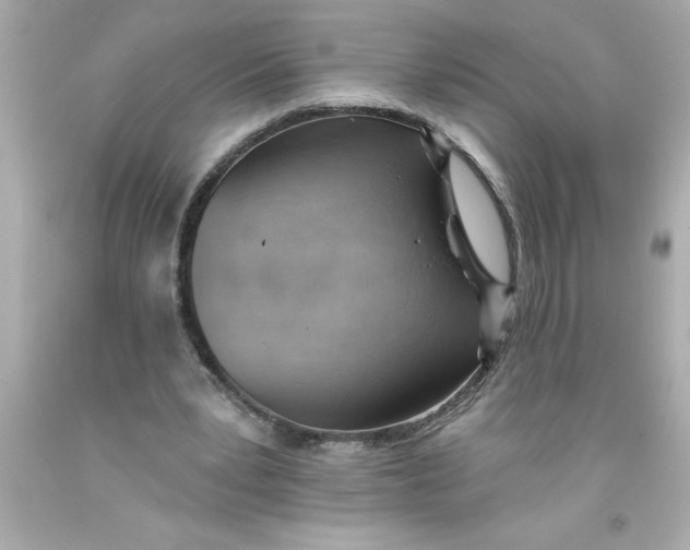 X0000093380391200711011254