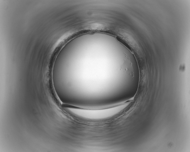 X0000093380392200711011254