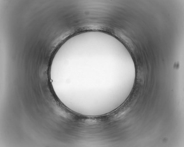 X0000093380394200711011254