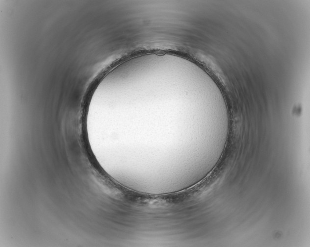 X0000093380395200711011254