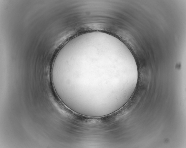 X0000093380398200711011254