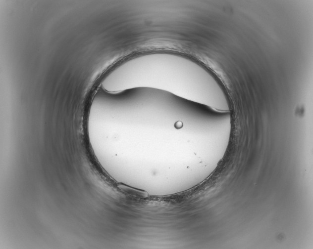 X0000093380399200711011254