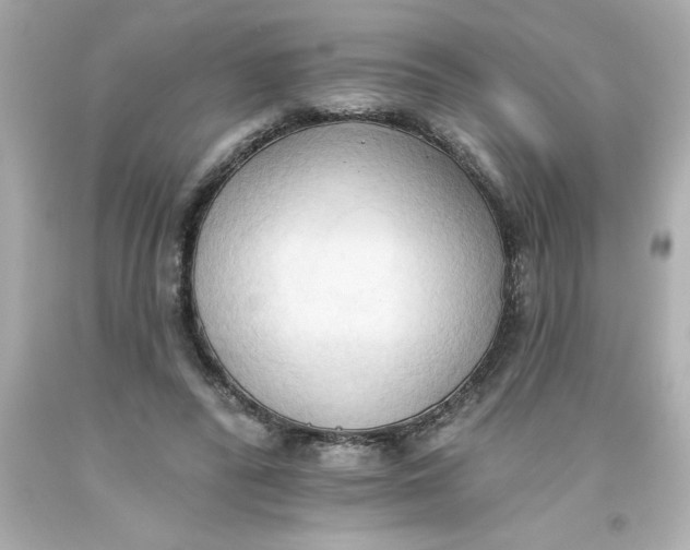 X0000093380400200711011254