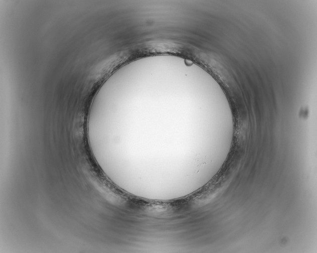 X0000093380402200711011254