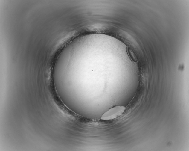 X0000093380404200711011254