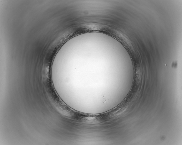 X0000093380406200711011254