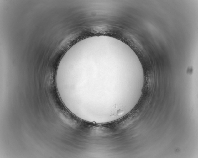 X0000093380408200711011254