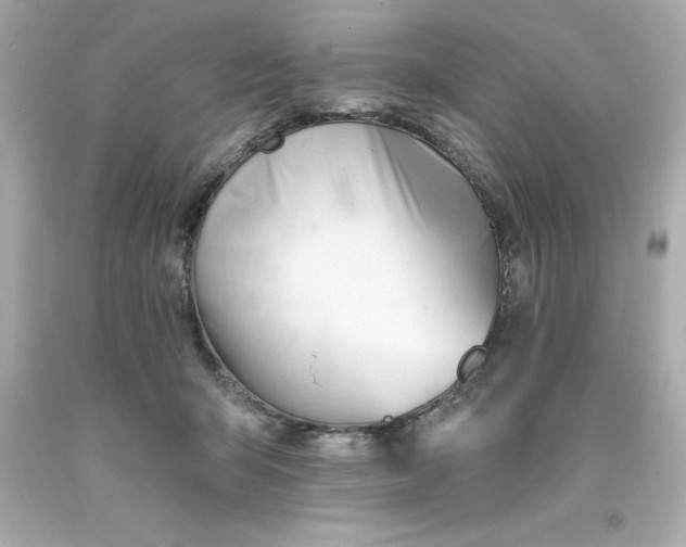 X0000093380415200711011253