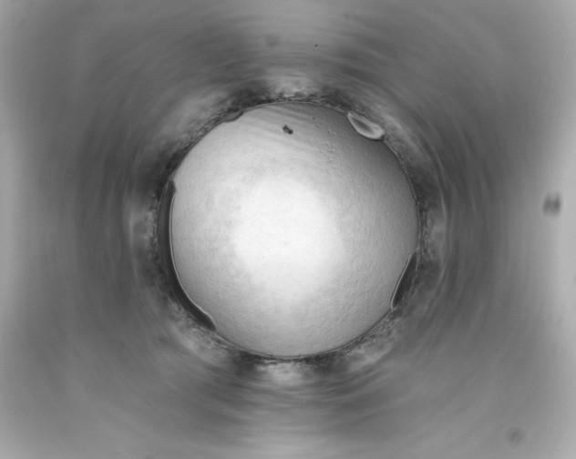 X0000093380417200711011253