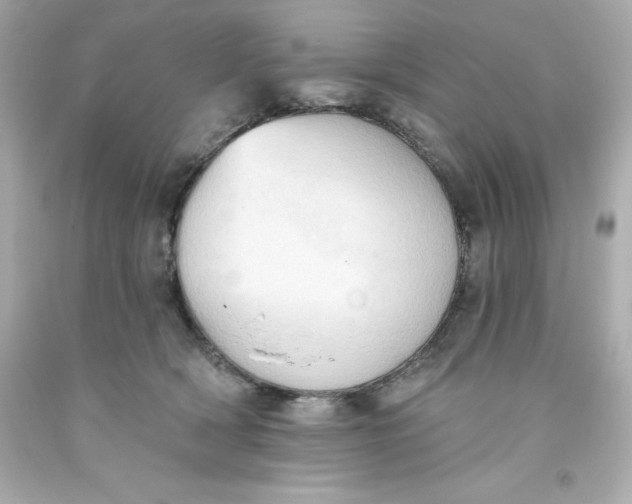 X0000093380418200711011253