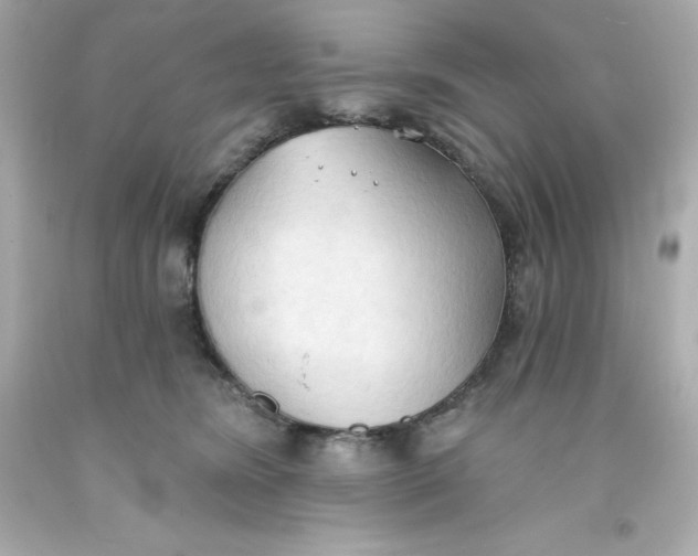 X0000093380420200711011253