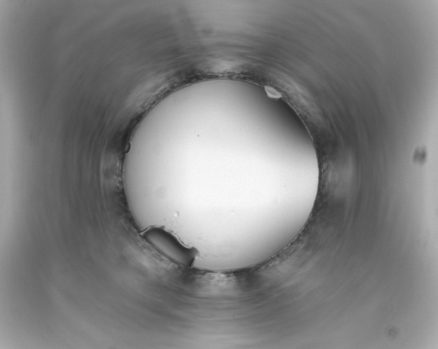 X0000093380421200711011253