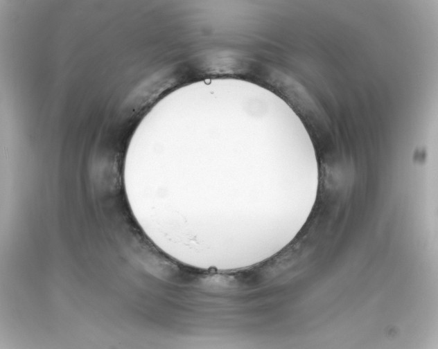 X0000093380422200711011253