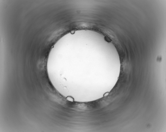 X0000093380423200711011253