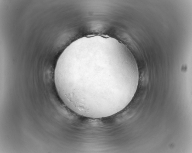 X0000093380424200711011253