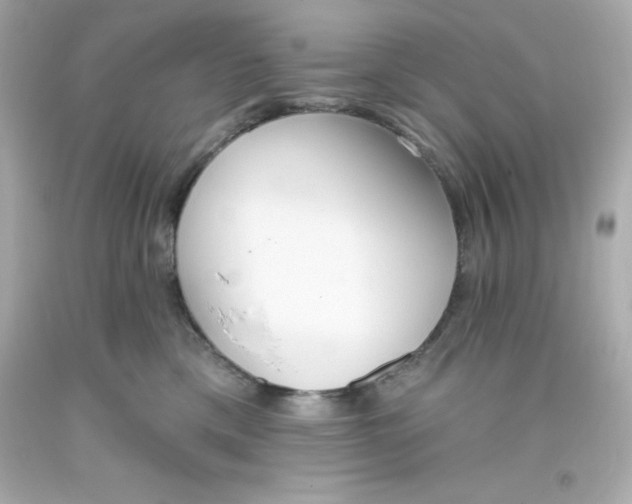 X0000093380425200711011253