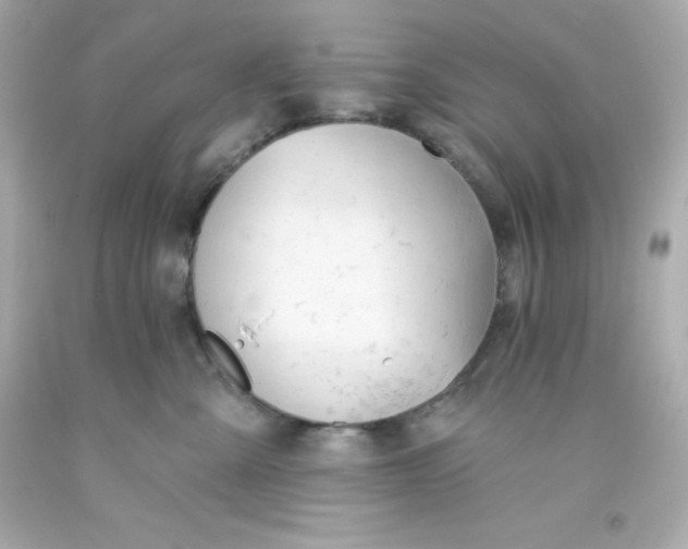 X0000093380427200711011253