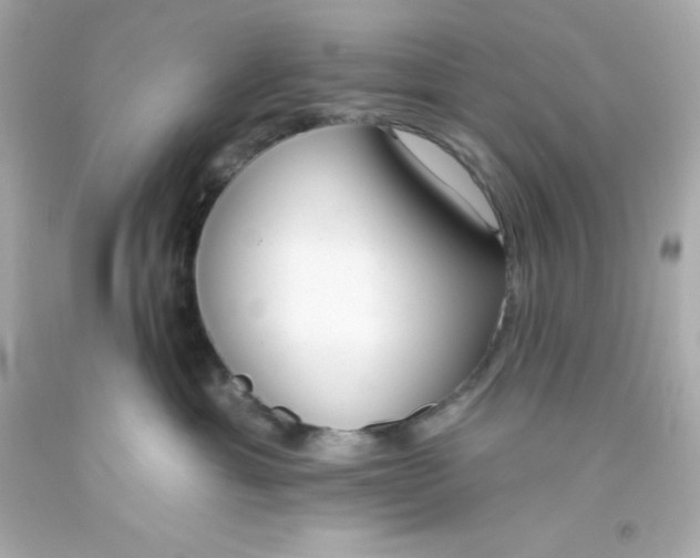 X0000093380429200711011253