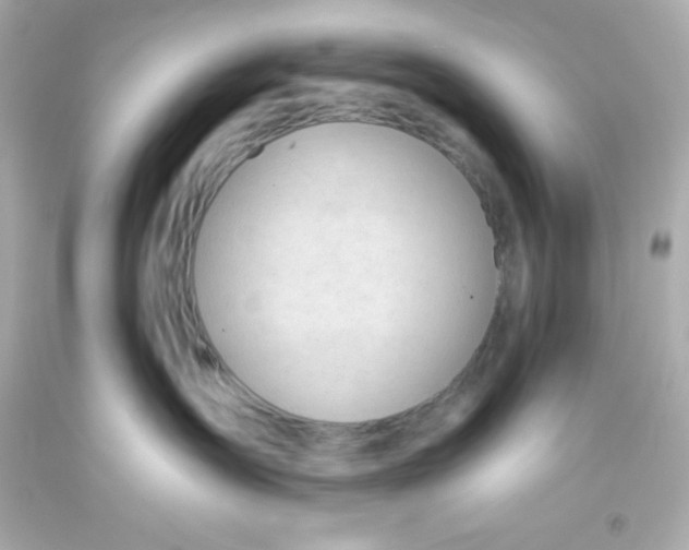 X0000093380431200711011253