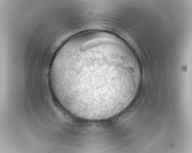 X0000093380434200711011253