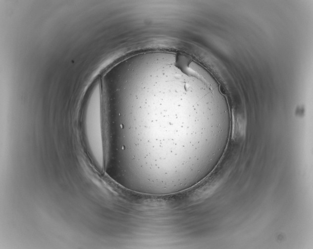 X0000093380435200711011253