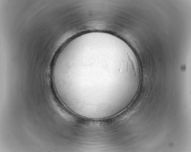 X0000093380439200711011253