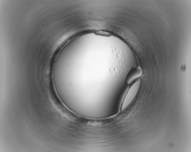 X0000093380440200711011253