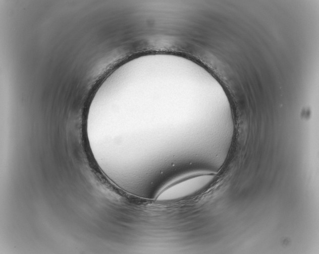 X0000093380442200711011253