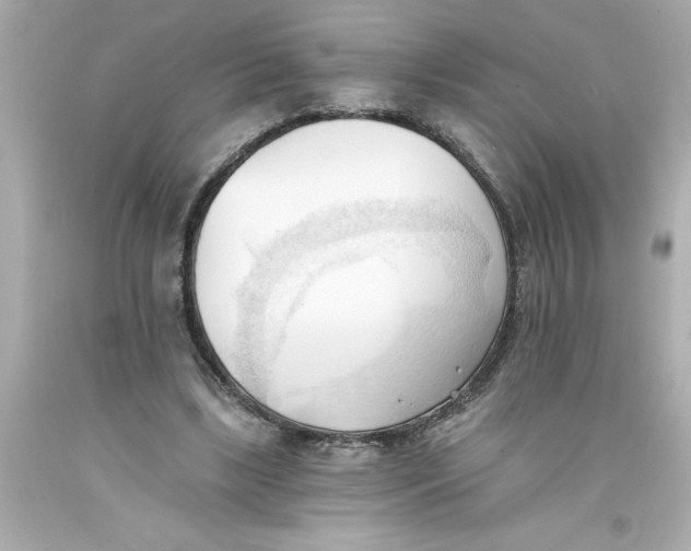 X0000093380443200711011253