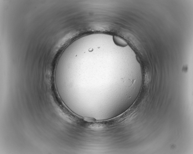 X0000093380444200711011253