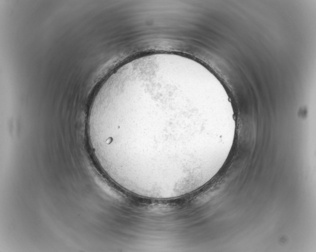 X0000093380445200711011253