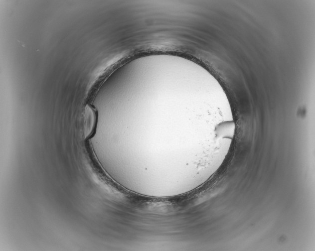 X0000093380446200711011253