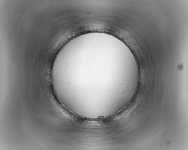 X0000093380449200711011253